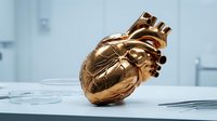 Golden metallic human heart anatomy model on medical table in modern hospital laboratory for cardiology education and healthcare training.
