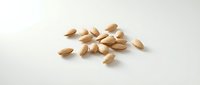 Scattered peanuts isolated on white background, ready for food packaging, culinary design, nutrition content, and snack marketing materials.