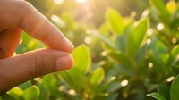 Young person holding fresh green leaf in sunlight with blurred foliage background, representing nature, growth, and environmental sustainability concepts.