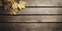 Yellow autumn maple leaves on rustic wooden planks, creating seasonal contrast with natural textures and warm tones.