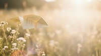Wooden cross memorial marker in wildflower meadow with soft golden sunlight creating peaceful remembrance scene for funeral or cemetery design.