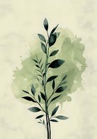 Minimalist botanical art featuring dark green leaves and branches against soft sage watercolor splash background, suitable for modern home decor and stationery design.