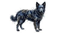 German Shepherd dog standing in profile with watercolor splatter effect, isolated on white background. Suitable for pet-related designs, veterinary materials, and animal illustrations.