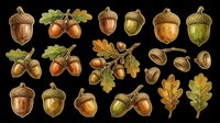 Acorn and oak leaf collection isolated on transparent background. Ready for clipart, t-shirt design, stickers, print-on-demand products, and sublimation projects.