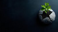 Young green sprout growing from cracked stone sphere on dark background, symbolizing breakthrough, resilience and new beginnings in business concept.