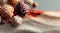 Colorful seashells scattered on textured sand beach background with warm sunlight creating natural shadows and peaceful coastal atmosphere for summer vacation designs.
