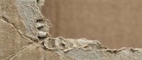 Cracked and peeling beige paint on weathered wall surface showing layers of deterioration and aging texture for renovation projects.