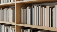 Organized wooden bookshelf with neatly arranged books in neutral tones creating minimalist library aesthetic for educational and literary content.
