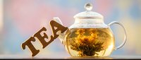 Glass teapot with blooming flower tea and wooden TEA letters on pastel background, warm cozy drink concept for cafe menu or lifestyle design.