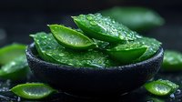 Fresh aloe vera leaves with water drops in black stone bowl on dark background, natural organic skincare and wellness concept for spa treatments.