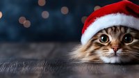 Adorable tabby cat wearing red Santa hat lying on wooden surface with festive bokeh lights background for holiday greeting cards and decorations.