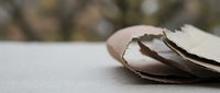 Broken eggshell fragments on white surface with natural blurred background for cooking, baking and kitchen concepts.