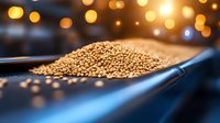 Raw quinoa grains in black ceramic bowl on dark background with golden bokeh lights, macro food photography for healthy eating and nutrition concept.