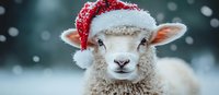 Adorable white lamb wearing festive red Santa hat with white fur trim during winter snowfall, perfect for holiday greeting cards and seasonal marketing.