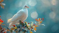 White dove perched on autumn branch with orange leaves against blurred turquoise bokeh background, peaceful nature scene capturing serenity and tranquility.