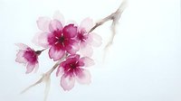Delicate pink cherry blossom branch with soft watercolor petals on white background, perfect for spring designs and botanical artwork.