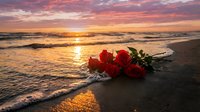 Red roses bouquet on sandy beach at golden sunset with ocean waves creating romantic seaside scene for love, Valentine's Day, anniversary celebrations.