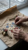 Mature hands arranging dried flowers and pressed petals on kraft paper by a window, capturing botanical crafting and floral preservation techniques for creative projects.