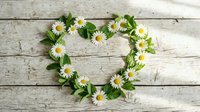 Heart shape made of white daisy flowers and green mint leaves on rustic wooden background, symbolizing love, nature, and fresh spring romance.