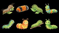 Caterpillar larvae collection isolated on transparent background, ready for clipart, t-shirt design, stickers, print-on-demand products, and sublimation projects.