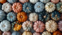 Colorful autumn pumpkins in pastel blue, coral, white and orange shades arranged in rows creating seasonal pattern background for fall harvest decor.