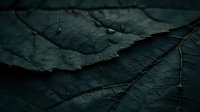 Dark green leaf macro showing detailed natural vein patterns and textured surface in moody lighting, creating dramatic shadows and organic lines for nature photography.