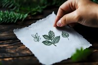 Hand drawing green botanical leaf sketches on torn white paper against rustic wooden background, surrounded by fresh foliage elements for nature art and illustration.