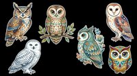 Owl species collection featuring five detailed illustrations including horned owl, barn owl, snowy owl, decorative peacock-toned owl, and golden owl head. Isolated on transparent background, ready for t-shirts, clipart, stickers, and print-on-demand designs.