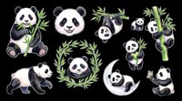 Panda bears isolated on transparent background, ready for t-shirt design, clipart, stickers, sublimation and print-on-demand products. Multiple poses with bamboo leaves.