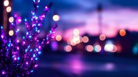 Dreamy purple lavender silhouette against blurred city lights and sunset sky creates magical bokeh effect with soft focus urban background at dusk.