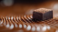 Dark chocolate praline with cocoa powder dusting on textured brown surface, macro food photography with selective focus and bokeh background.