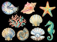 Watercolor sea life collection featuring nautilus, shells, starfish, coral, and seahorse isolated on transparent background. Ready for t-shirt designs, clipart, stickers, sublimation, and print-on-demand products.