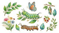 Caterpillar and butterfly lifecycle stages with green leaves, flowers, and chrysalis isolated on white background, suitable for educational materials, children's books, nature illustrations, and design projects.