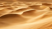 Golden sand dunes stretching to horizon in desert landscape, smooth wavy patterns created by wind, warm sunlight casting soft shadows across sandy terrain.