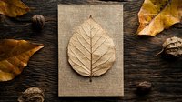 Dried autumn leaf on natural burlap canvas against dark wooden background with scattered fall foliage and walnuts creating rustic composition.