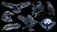 Dark raven clipart set with flying, perched, and portrait poses, feather, and moon scene. Isolated on transparent background, ready for t-shirt design and stickers.