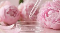 Pink peonies with dropper dispensing serum or essence into petri dish, skincare and cosmetic product development concept.