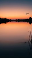 Helicopter flying over calm wetland river at golden sunset with mirrored water reflection and silhouetted reeds, suitable for travel and nature backgrounds.