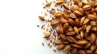 Scattered brown sunflower seeds on white background, organic raw food ingredient pattern with copy space for healthy eating and snack concepts.