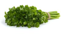Fresh green parsley bunch tied with natural twine on white background, isolated herb for cooking and garnishing dishes, ready for design use.