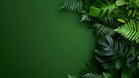 Tropical green leaves frame border on dark emerald background with copy space. Natural botanical layout for luxury product presentation and branding.