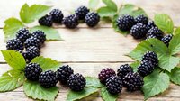 Fresh blackberries arranged in a circle with green leaves on white wooden surface, suitable for food photography, recipe blogs, and healthy eating content.