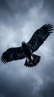 Black raven soaring against dramatic stormy sky with wings spread wide, suitable for gothic, dark fantasy, and wildlife themes.