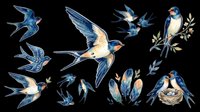 Barn swallows in flight and perched positions with nest and botanical elements, isolated on transparent background. Ready for t-shirt design, clipart, stickers, sublimation, and print-on-demand projects.