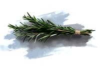 Fresh rosemary sprig with green needles on watercolor background, isolated culinary herb for cooking and aromatherapy designs.
