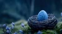 Small blue speckled egg resting in dark bird nest surrounded by delicate spring flowers and moss, creating magical forest atmosphere in soft natural light.