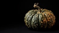 Textured green and gold striped gourd with stem isolated on black background, suitable for autumn harvest designs, fall decorations, and seasonal marketing materials.