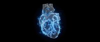 Digital wireframe human heart with glowing blue electric connections on black background for medical technology presentations and healthcare designs.