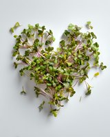 Fresh microgreens arranged in heart shape on white background, showcasing vibrant green leaves and purple stems for healthy eating concept.