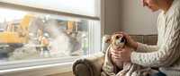 Caucasian male construction worker holding young bulldog puppy while observing demolition site through window, wearing casual sweater, industrial workplace setting.